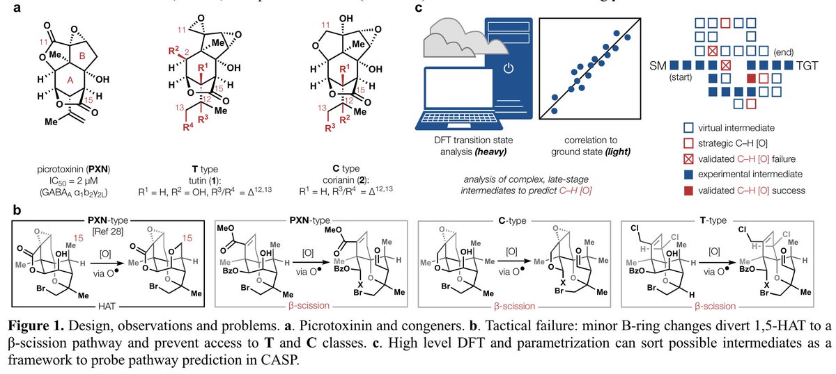 Total Synthesis tweet media