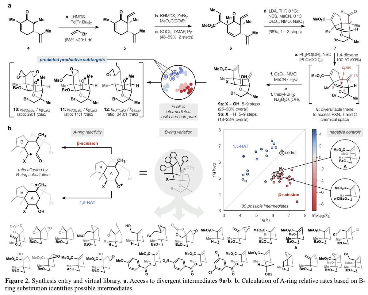 Total Synthesis tweet media