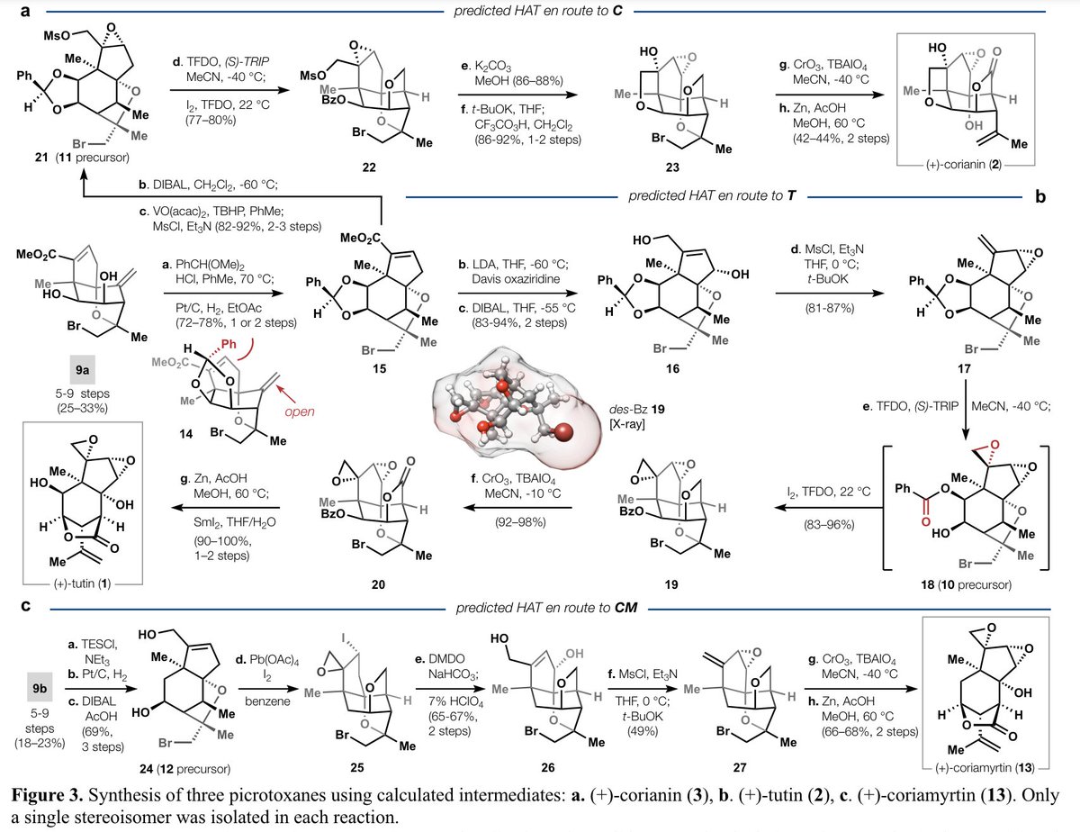 Total Synthesis tweet media