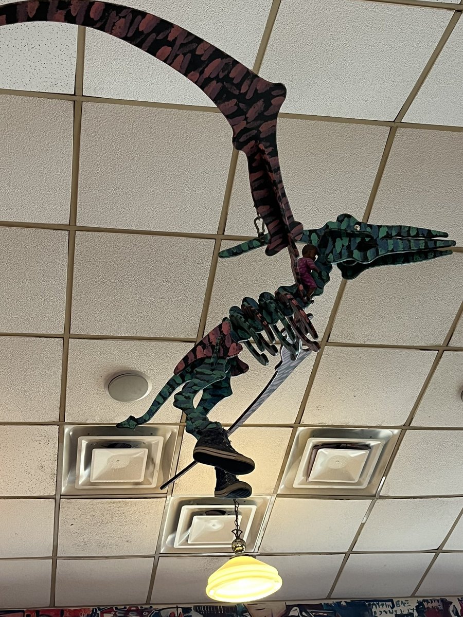 Danielle Frizziola tweet media