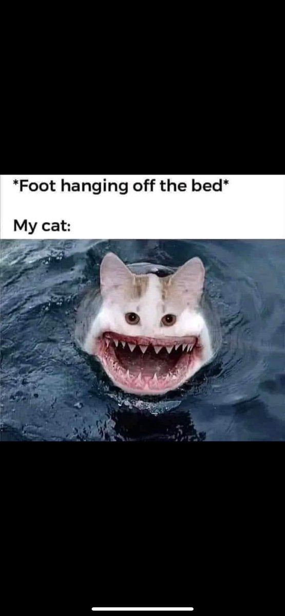 Not far from the truth!!