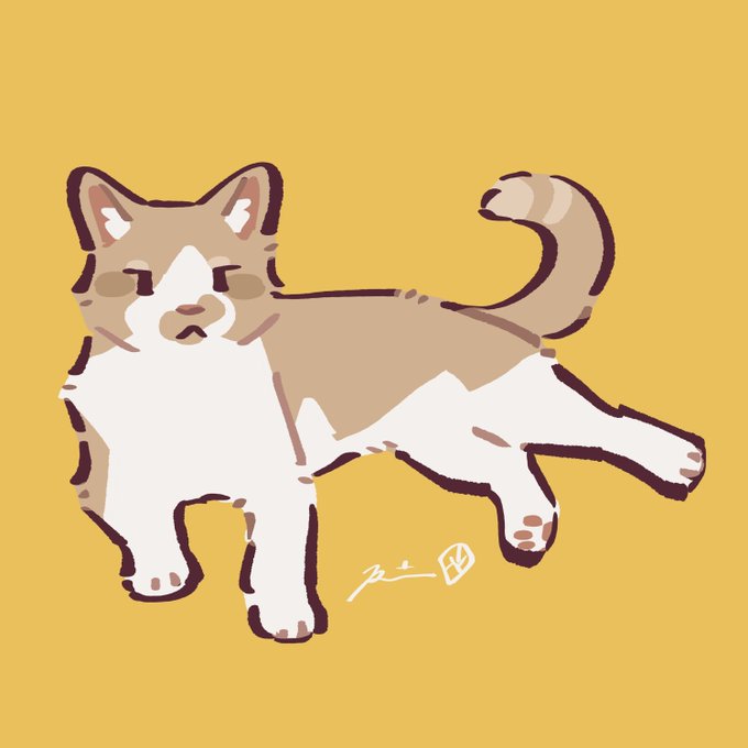 「猫 ソロ」のTwitter画像/イラスト(新着)