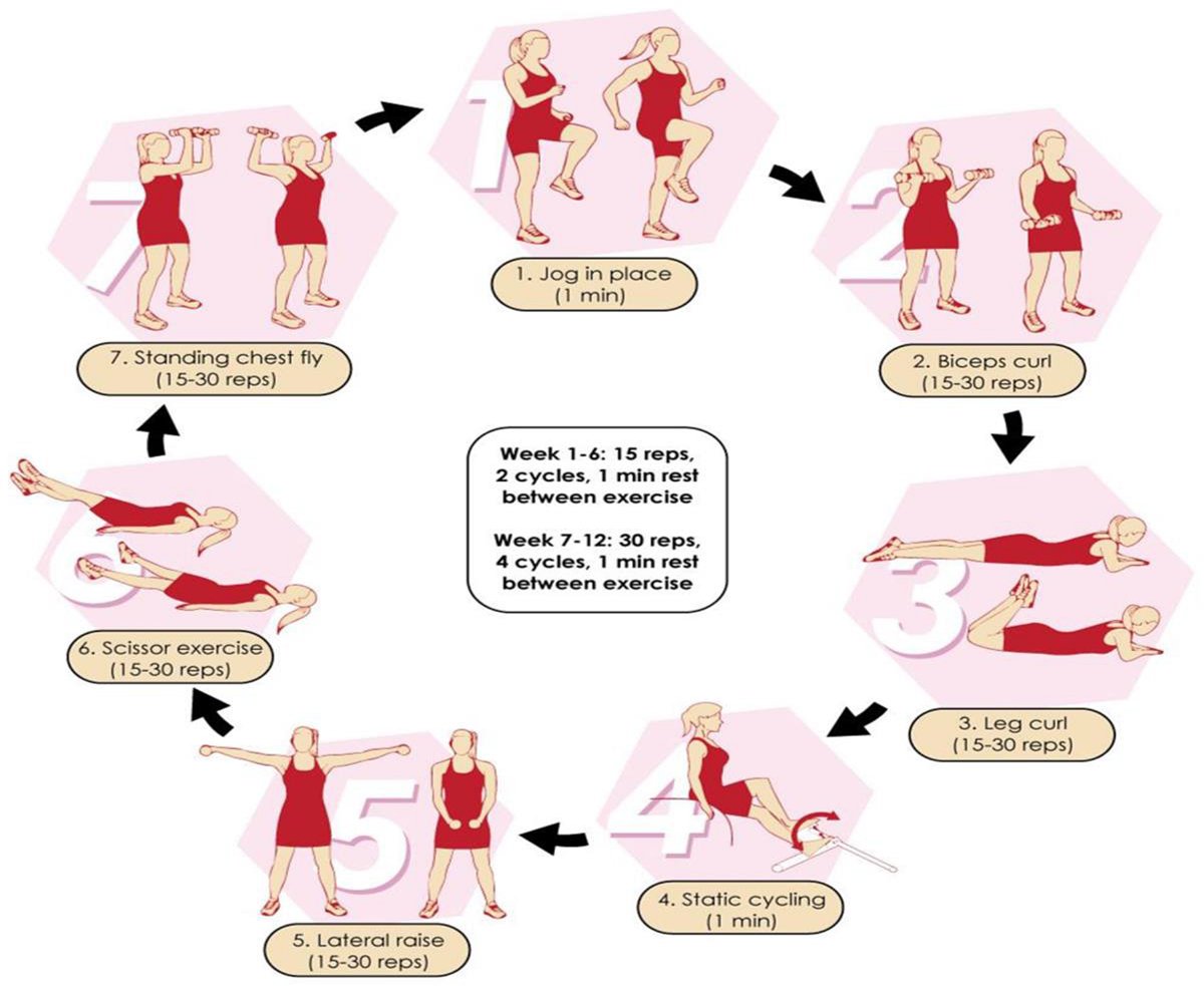 IberianCitizen's tweet photo. ¿No puedes ir al gimnasio? Pues entrenas en casa
Entrenamiento en circuito en casa mejora el perfil d lípidos, la f(X) hepática, aptitud musculoesquelética y calidad de vida en pacientes mayores con sobrepeso/obesidad, osteoartritis d rodilla y diabetes T2
https://t.co/sCi6Zcp8kU https://t.co/WdE1BDpUAr
