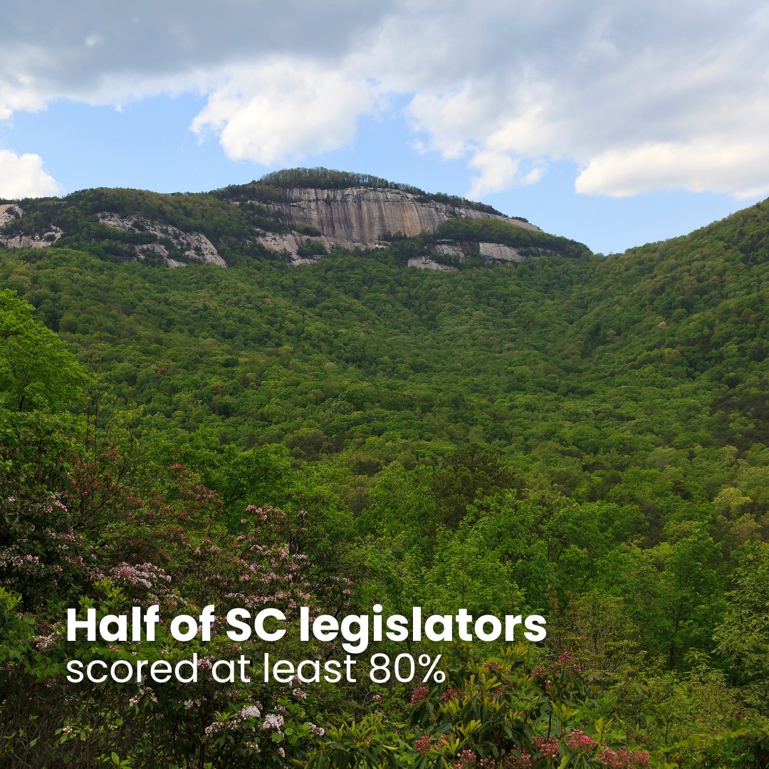 Have you had a chance to check out our 2023-2023 Legislative Scorecard yet? This Scorecard demonstrates the strong bipartisan support that we have for conservation in SC. Half of legislators scored at least 80% in favor of conservation! cvsc.org/legislative/sc…