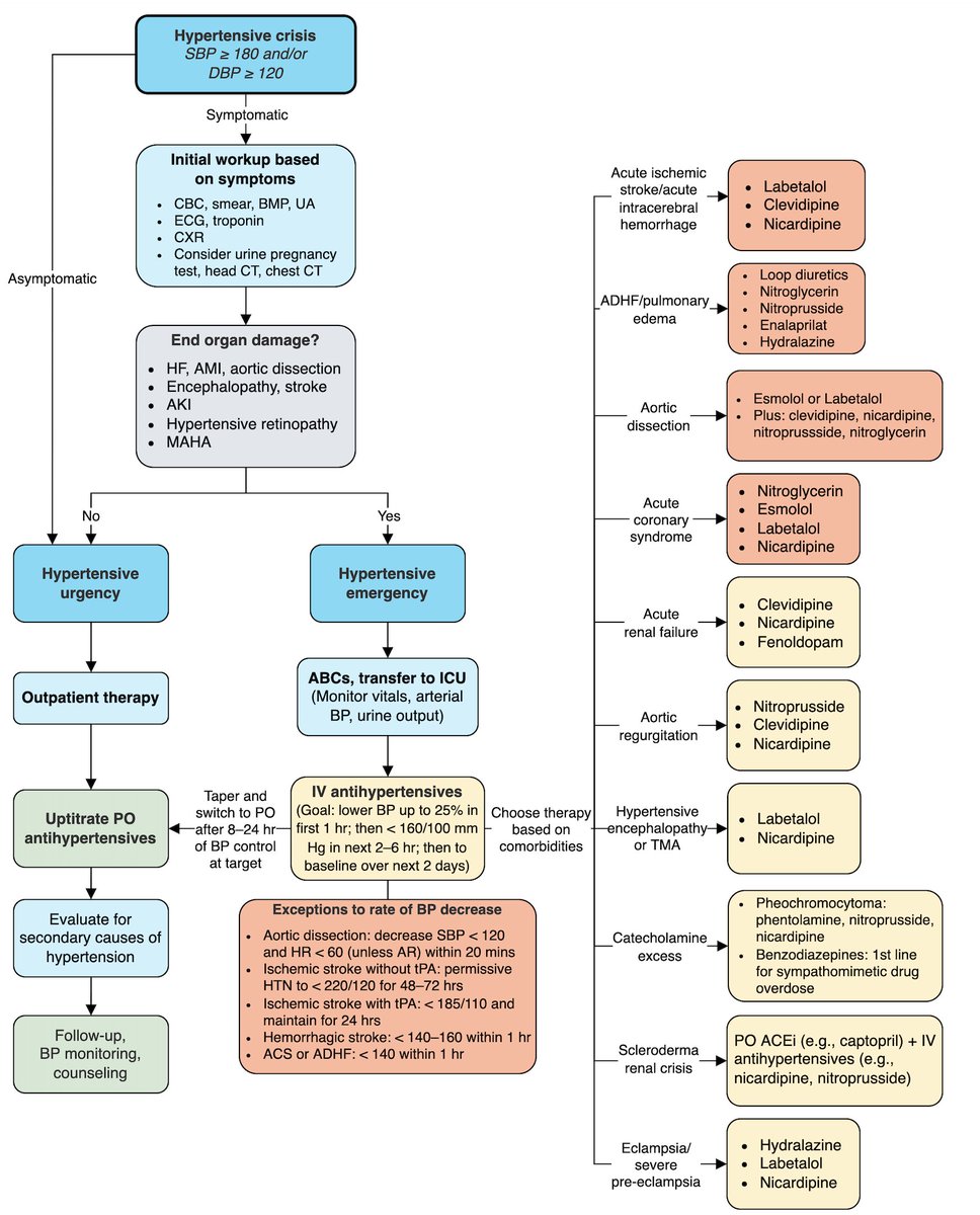 Hypertensive Urgency and Hypertensive Emergency Algorithm

by @MatthewHoMD
#medtwitter #foamed #usmle