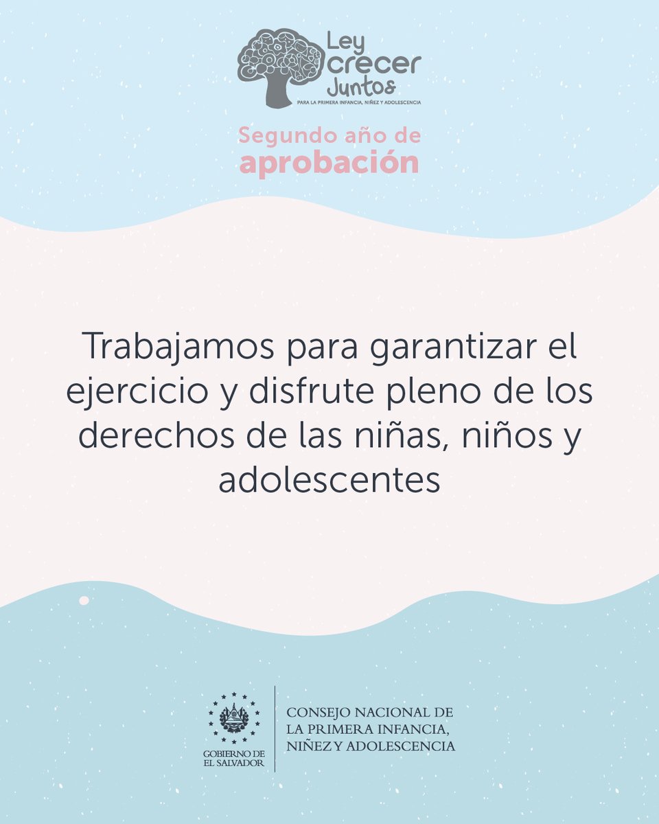CONAPINA_sv's tweet photo. Las instituciones que conformamos el Sistema Nacional de Protección asumimos el mismo compromiso, trabajando con base a la #LeyCrecerJuntos. 🇸🇻 https://t.co/Nb7vgYqZxU
