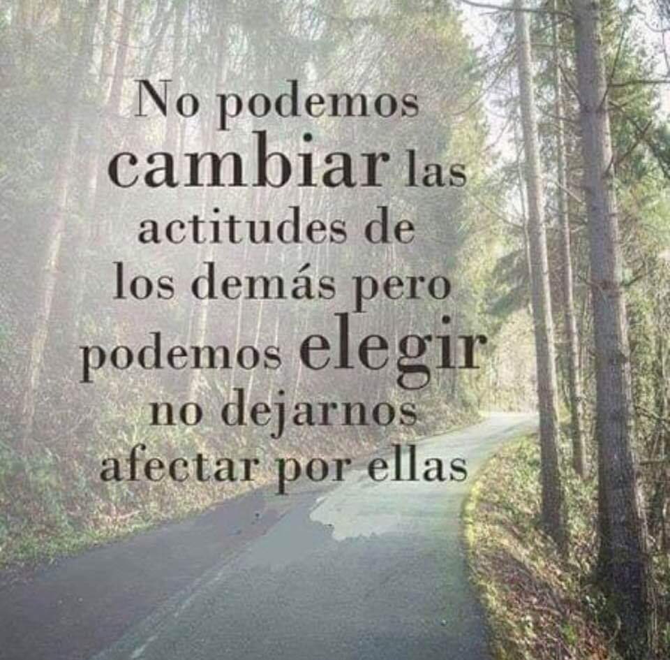 consualcazar's tweet photo. AFINACIÓN DIARIA 
31/05/2024

No puedes cambiar el pasado, pero con la actitud correcta, podrás recuperar en el futuro más de lo que perdiste en el pasado.
Bendiciónes. 
🙏☀️💫 https://t.co/hzOoSBPWzq
