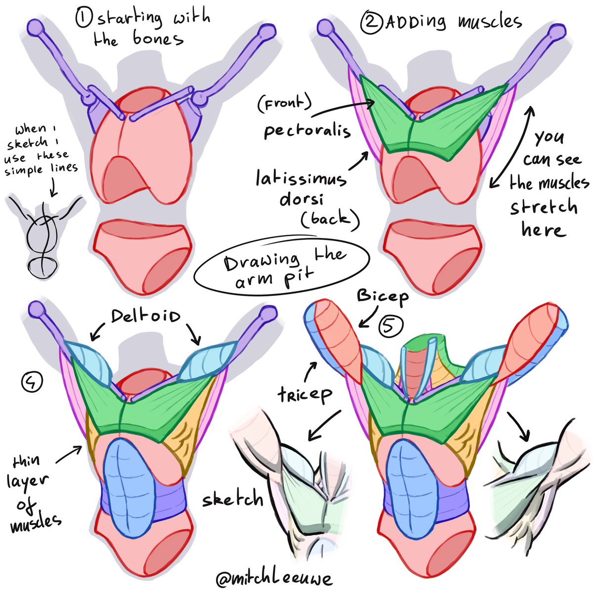 See how the muscles move and stretch 