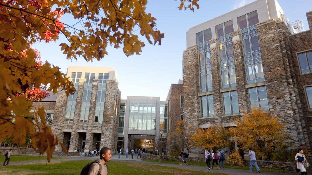 Romero lab tweet media