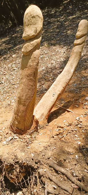 Some impressions from last year sailig in Croatia. And yes we was also on the Piggybeach in Vrsar. https://t<a href="/tag/nude"class="tags"><span>#nude</span></a><a href="/tag/ass"class="tags"><span>#ass</span></a><a href="/tag/horny"class="tags"><span>#horny</span></a><a href="/tag/gay"class="tags"><span>#gay</span></a><a href="/tag/cock"class="tags"><span>#cock</span></a><a href="/tag/chubby"class="tags"><span>#chubby</span></a>