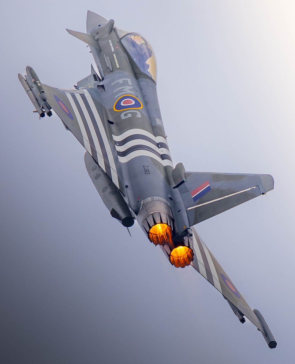 Typhoon Display Pilot tweet media