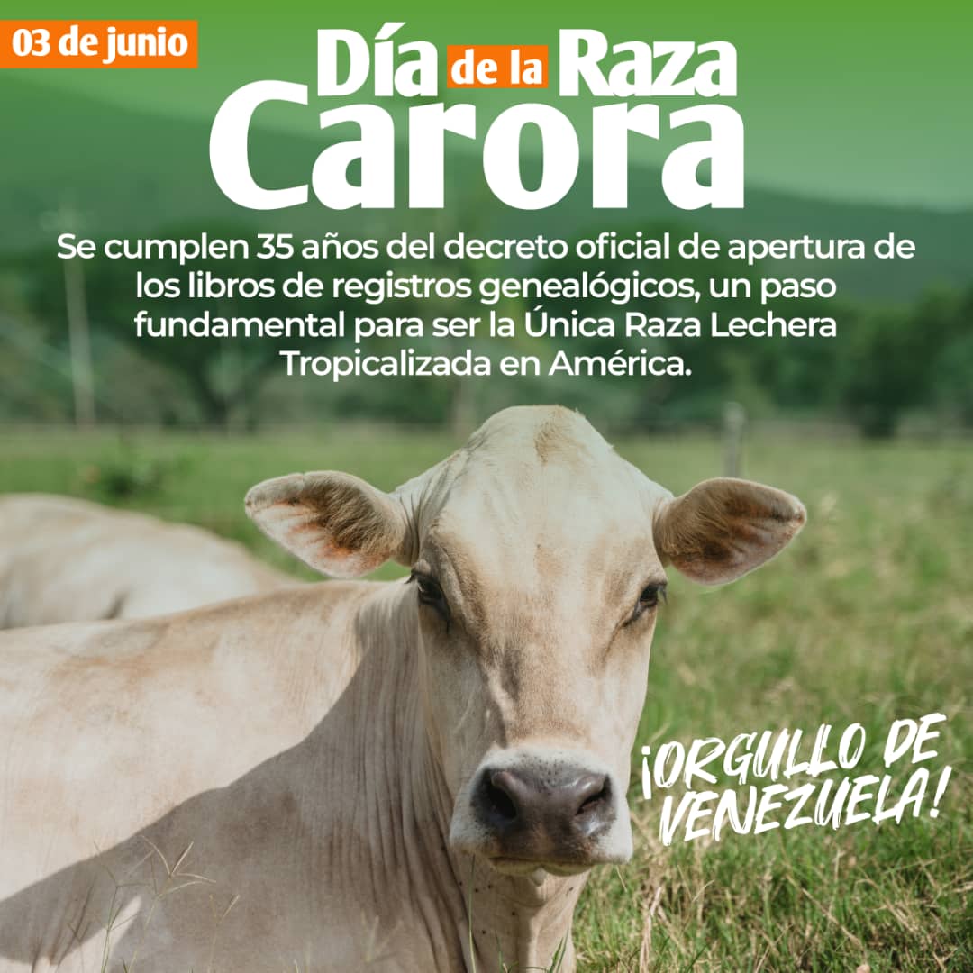 #NotiAsocrica tal día como hoy, el 03 de Junio de 1.989 el Ministerio de Agricultura y Cría, delega en ASOCRICA la facultad de llevar los Registros Genéticos y Genealogicos de rebaño Raza Carora..

#RazaCarora #35años #Carora #Venezuela <a href="/sorgocarora/">Sociedad de Ganadero</a>
@ciac_ca
