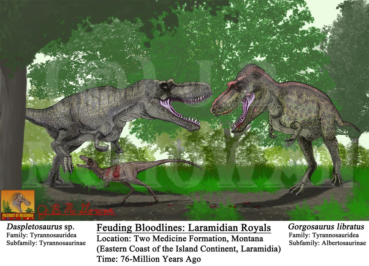 JaredM3_14's tweet photo. #JurassicJune #Paleoart #Dinosaurs #Tyrannosauridae #Tyrannosaur #Albertosaur #Dapletosaurus #Gorgosaurus #Plaeontology #Cretaceous #DinosaursWillAlwaysBeAwesome #WeHaveATrex #Tyrannosaurid #TwoMedicineFormation #Laramidia #Jurassic https://t.co/Ojd6kLt5X3