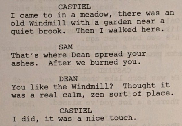 CasIsLoved's tweet photo. remember when cas came back from the empty and woke up in a random meadow. and we couldn't understand why there?? because it made no sense. but then we found out it's because dean spread cas' ashes there. because it was a zen sort of place and dean believed cas would've loved it- https://t.co/7nXebNDQYt