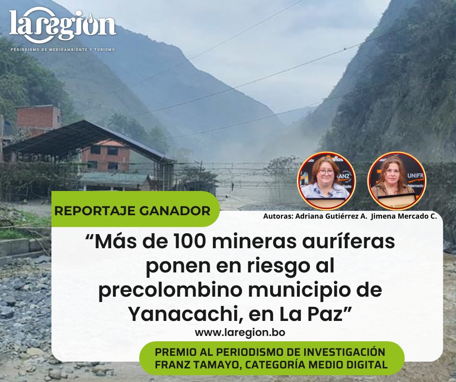 Emboscados con dinamita, asentamientos en áreas de cultivos, acoso a pobladores para que se conviertan en mineros, estos son algunos de los hallazgos que desveló el reportaje "Más de 100 mineras auríferas ponen en riesgo al precolombino municipio de Yanacachi en La Paz". 🧵👇