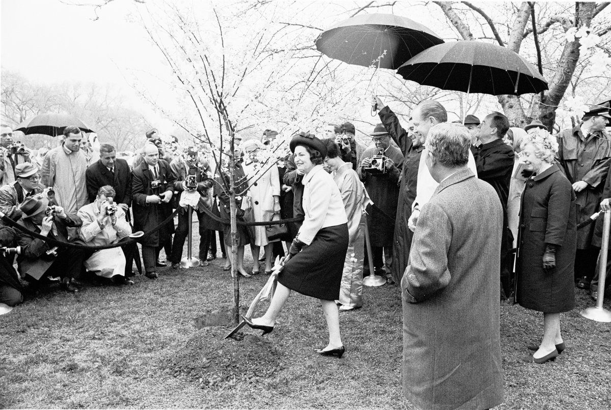 LBJLibrary's tweet photo. #DidYouKnow: 200+ environmental laws were passed during the #JohnsonAdministration, many of which are credited to #LadyBird's work. ๐ณ๐โ๏ธ๐ป
Learn more about Lady Bird's work with conservation and the environment: https://t.co/LYTFYRgP9q
#WorldEnvironmentDay
@WildflowerCtr https://t.co/LxbRDc8P9B