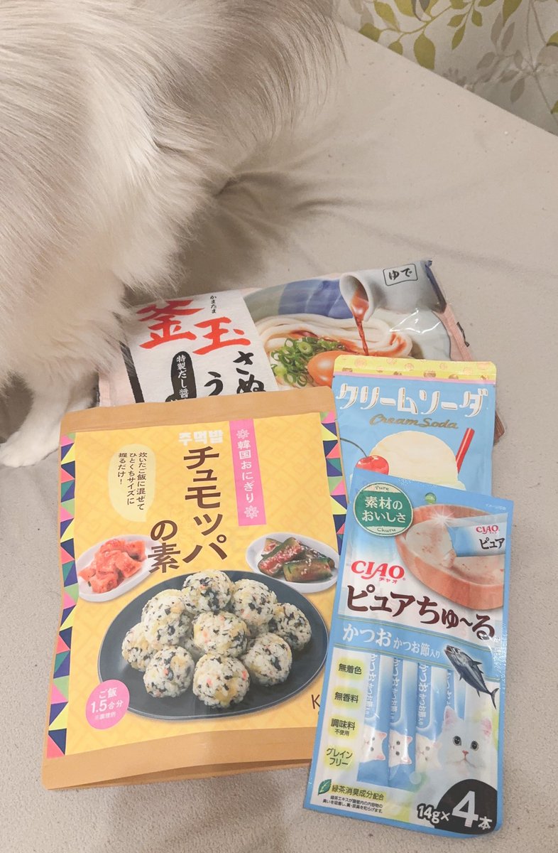 ccochocolat's tweet photo. これはセンスのいい手土産たちと、猫にちゅーるをあげて爆速で懐かれるくずみん！ https://t.co/cdspjnQeZb