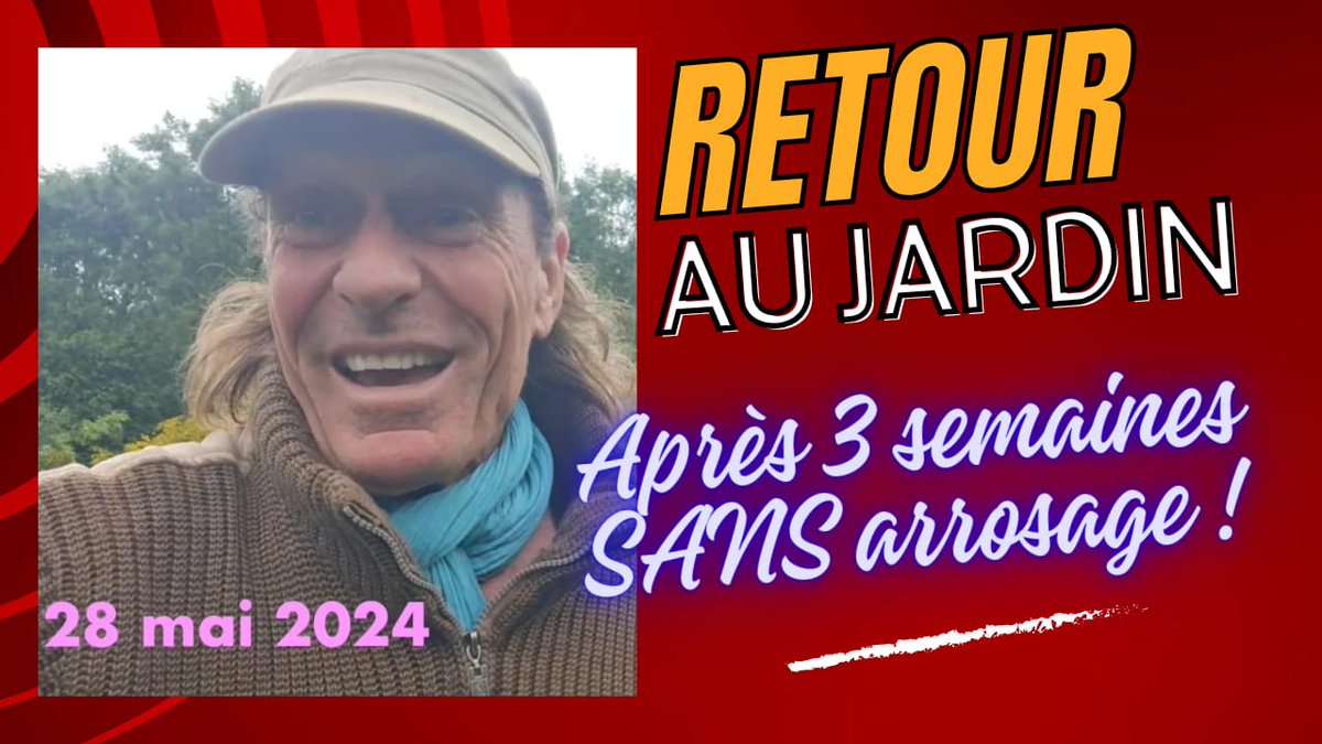 GerardFoucher's tweet photo. Retour à la serre après TROIS semaines d'absence sans arrosage ! Désastre ou abondance ?
voir la vidéo : https://t.co/SASGAbrFn3
#permaculture
#Jardinage
#culture #plantes #tomates #concombres #paillage #consoude #bourrache #abondance #tailledelavigne #arrosage https://t.co/ixT6dThqAD