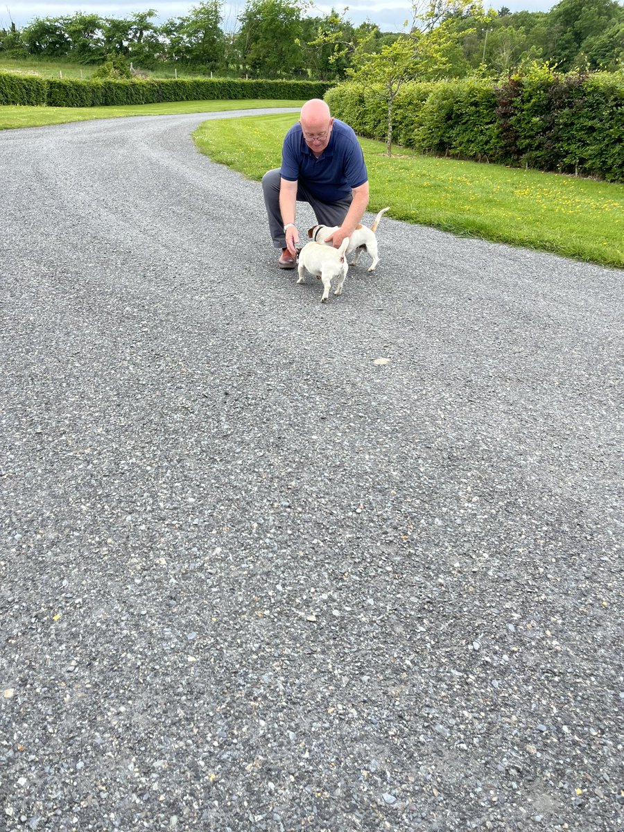 simboyse's tweet photo. Did anyone ever say: Simon likes Jack Russell’s 

Out on the canvass today in Ballycross 

Had to call into The Little Saltee Restaurant &amp; Takeaway for their marvellous fish and chips 

Let Boyse Be Your Voice! https://t.co/EFKbbTQFpU