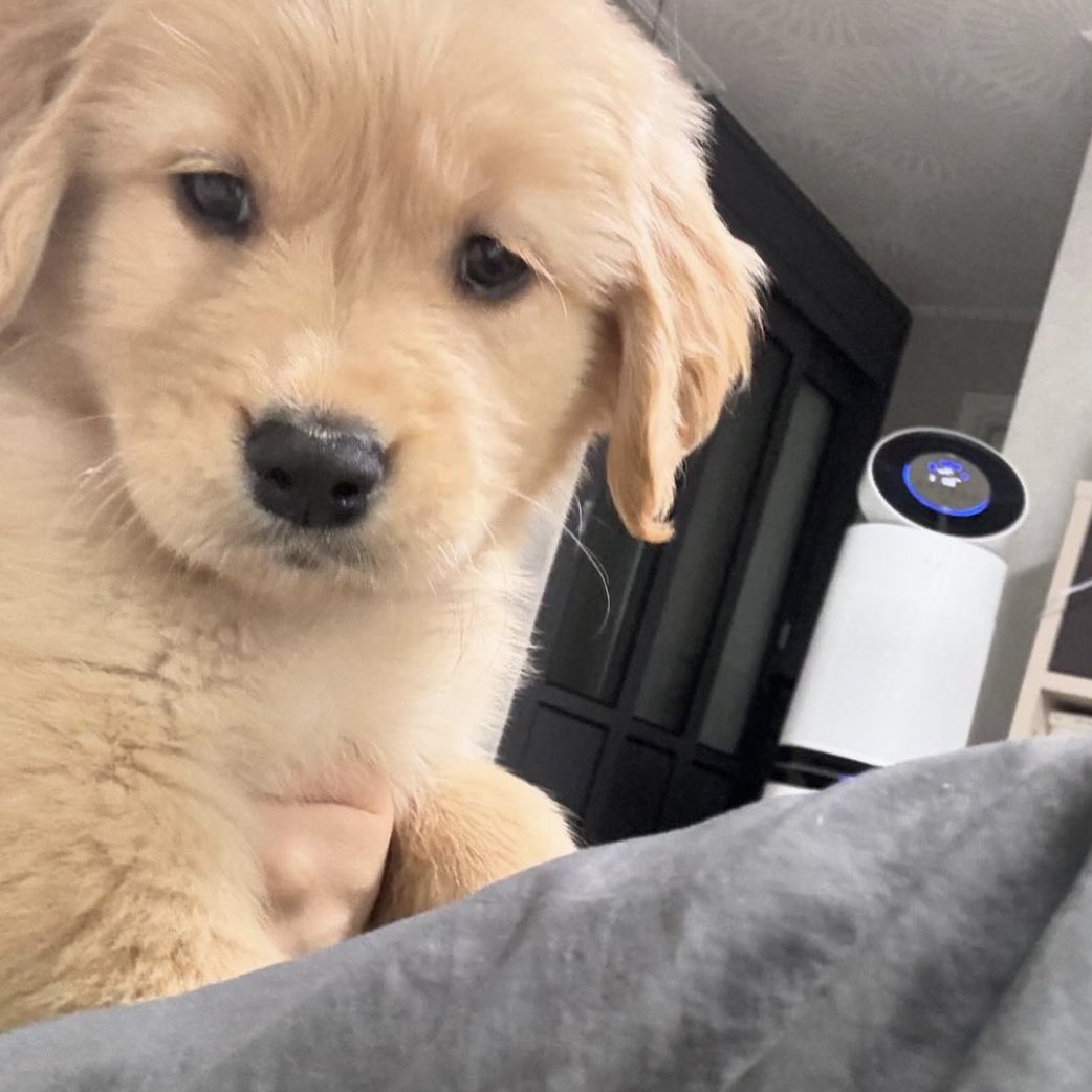 takemybear 🐶 tweet media