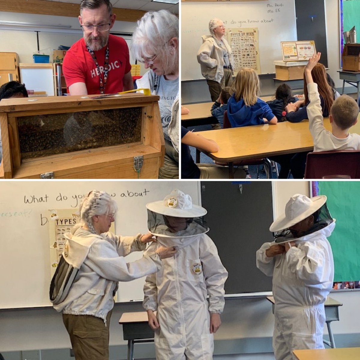Hawthorne Elementary | Everett Public Schools (@eps_hawthornees) on Twitter photo This past week in Garden club students learned about bees from two local Beekeepers, Ms. Eli and Ms. Heidi. Students sampled honey, tried on bee suits, learned about bee habitats and tried to identify the queen bee from a live hive. It was great fun! This past week in Garden club students learned about bees from two local Beekeepers, Ms. Eli and Ms. Heidi. Students sampled honey, tried on bee suits, learned about bee habitats and tried to identify the queen bee from a live hive. It was great fun!
