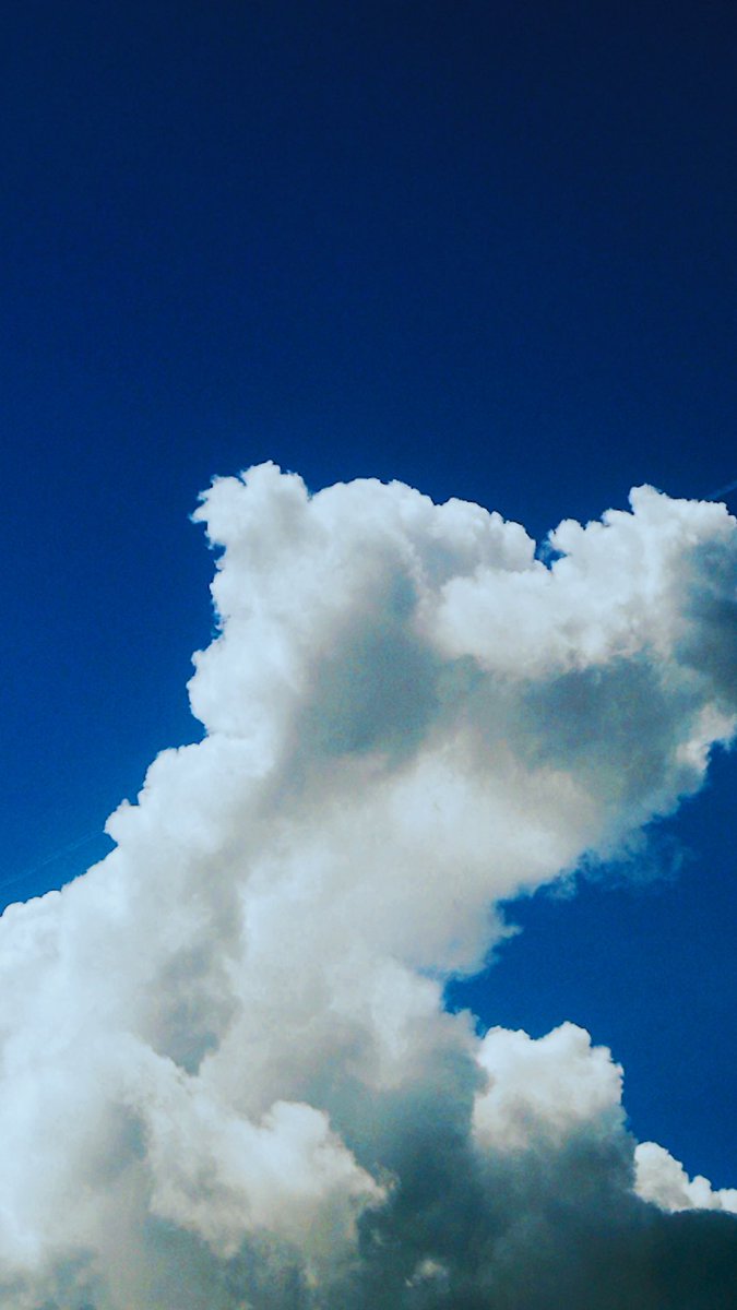 borg.. (@borgology) on Twitter photo 