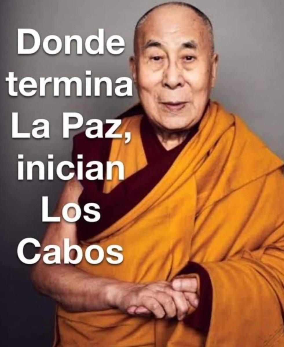 Se ven mejor compartiendo memes qué sus opiniones políticas.