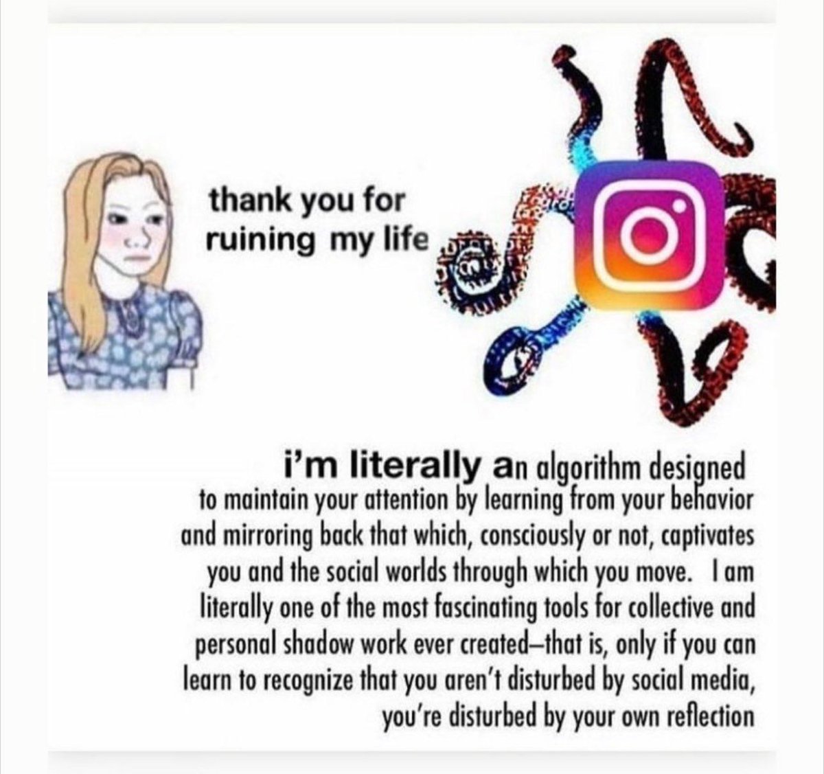 This meme is revealing, both in its brilliance and its shortcomings. 

I'll start with the brilliance. Social media algorithms have a deeper and more intimate understanding of their users than most of their best friends do. They know our quirks, our desires, our lusts, and our