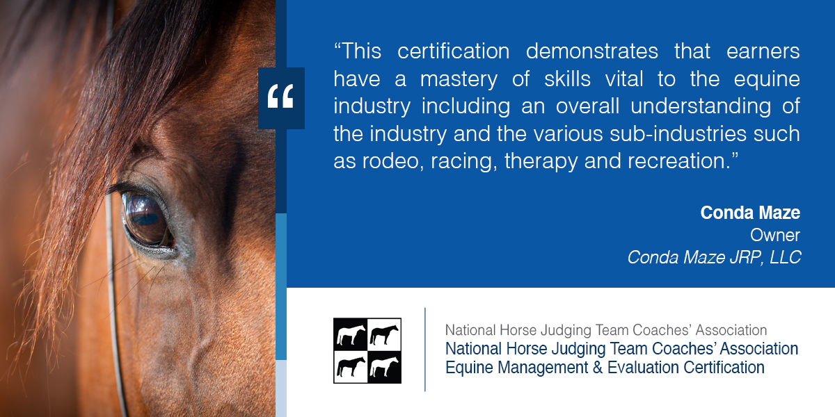 Congratulations to Dilley HS ag teacher Haley Betancourt. She had 30 students earn #IBC certifications in May 2024 from <a href="/BenzSchoolTAMU/">Benz School</a> and the National Horse Judging Team Coaches Assn. Proctored on the <a href="/iCEVonline/">iCEV</a> platform. Way to go #HireCertified