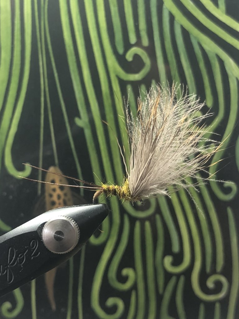 FBOPT, size 14…

Trout print by <a href="/Phishtitz/">David Burton</a>