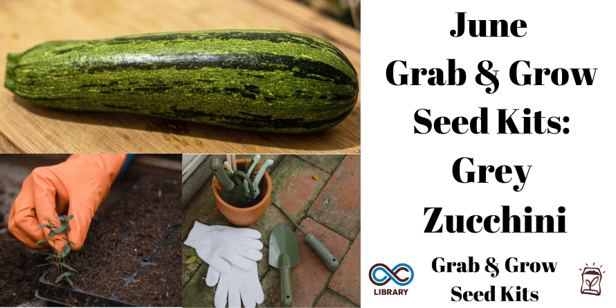 AC Library tweet media