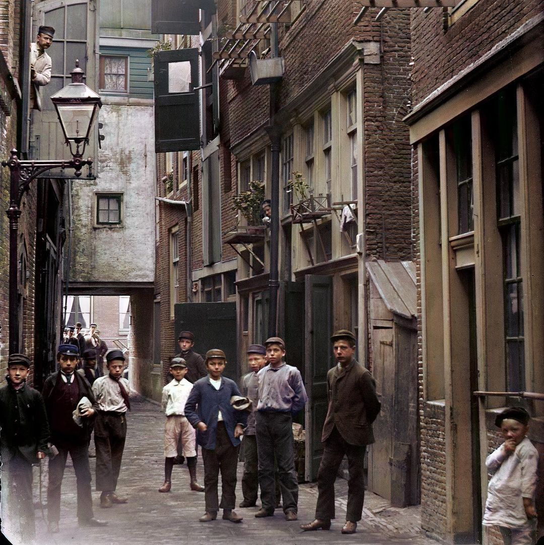 HistoryColored tweet media