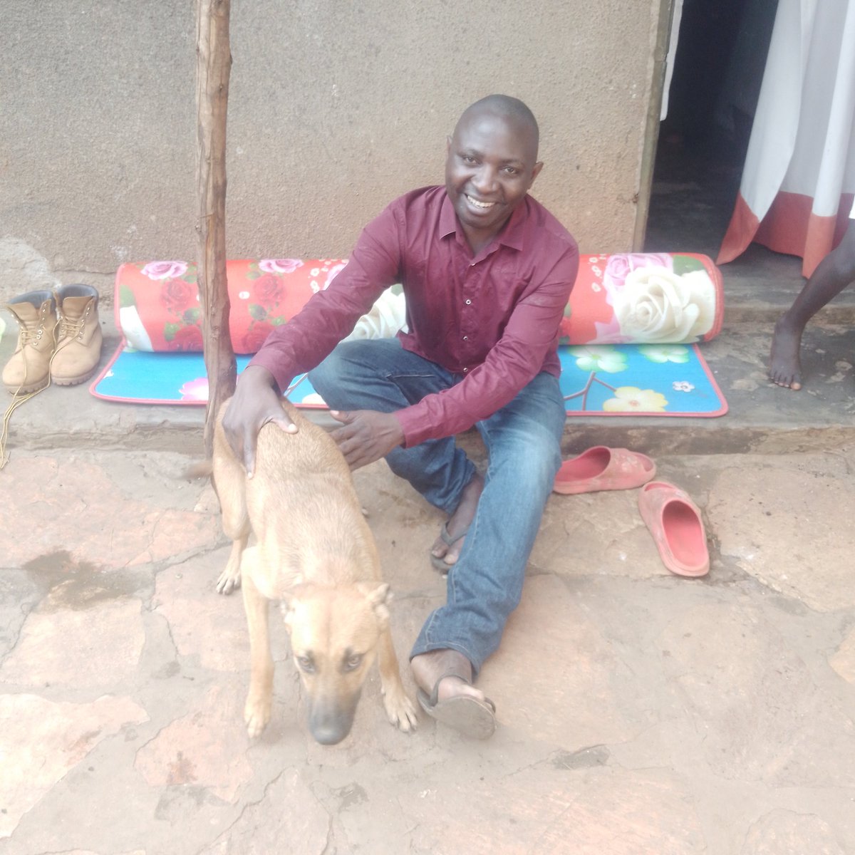 For any help links below ⬇️ ⬇️⬇️
worldremit.com or xoom.com to ssempiiraisaac31@gmail.com or SENDWAVE.COM to; +256753170377 Or westernunion.com Mobile wallet
Right now even we don't have any food to feed our animals here at the rescue cen