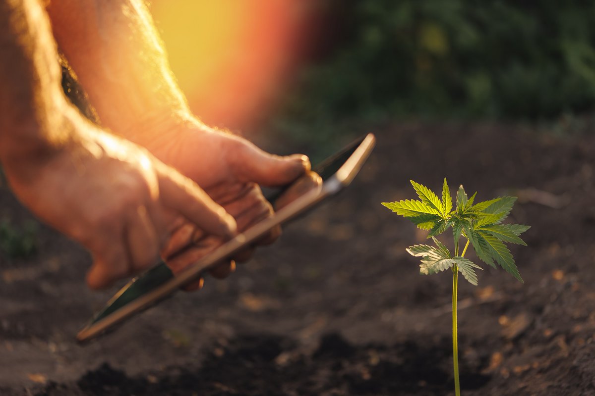 FHHempShop's tweet photo. An amendment seeking to ban intoxicating hemp-based cannabinoids nationwide is now part of the U.S. House of Representatives’ draft Farm Bill. Follow us to stay up to date. 

https://t.co/MBf1D93Hzm

#freedomhealthhempshop #hempfacts https://t.co/HtBnzpO5Cs