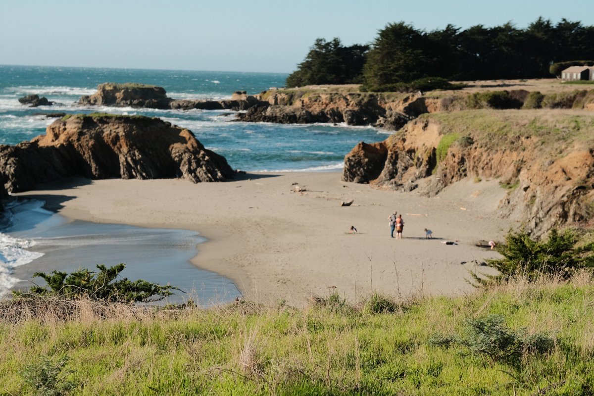 nick barr tweet media