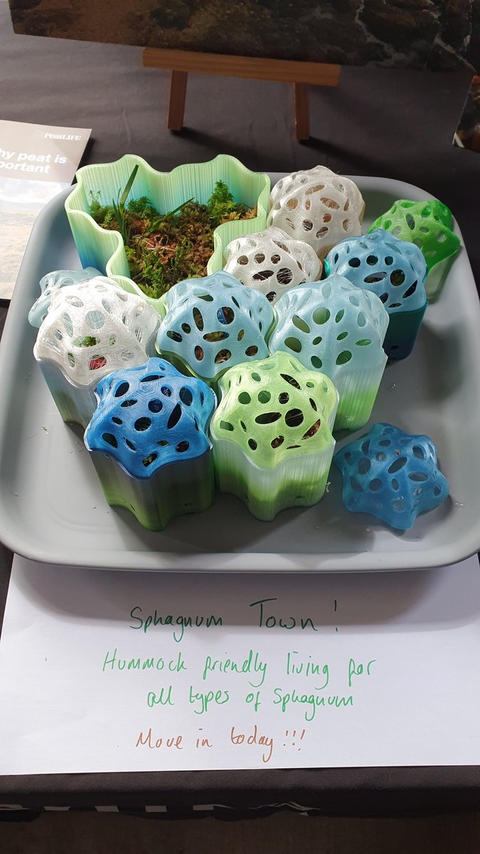 Beth Thomas tweet media