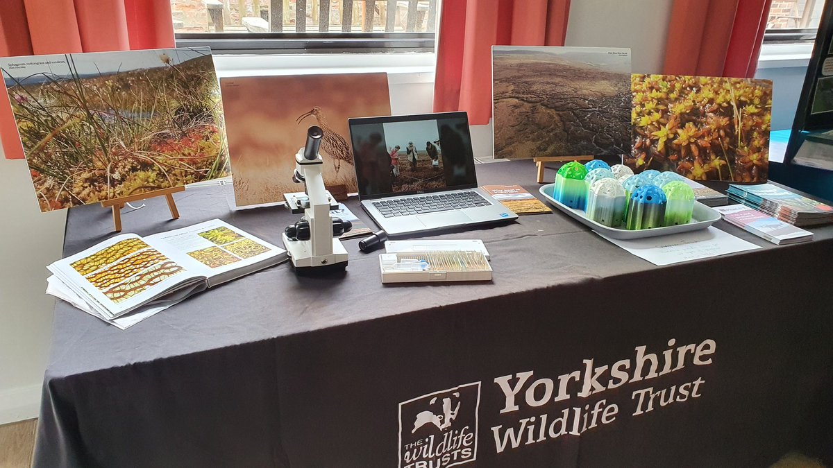 Beth Thomas tweet media