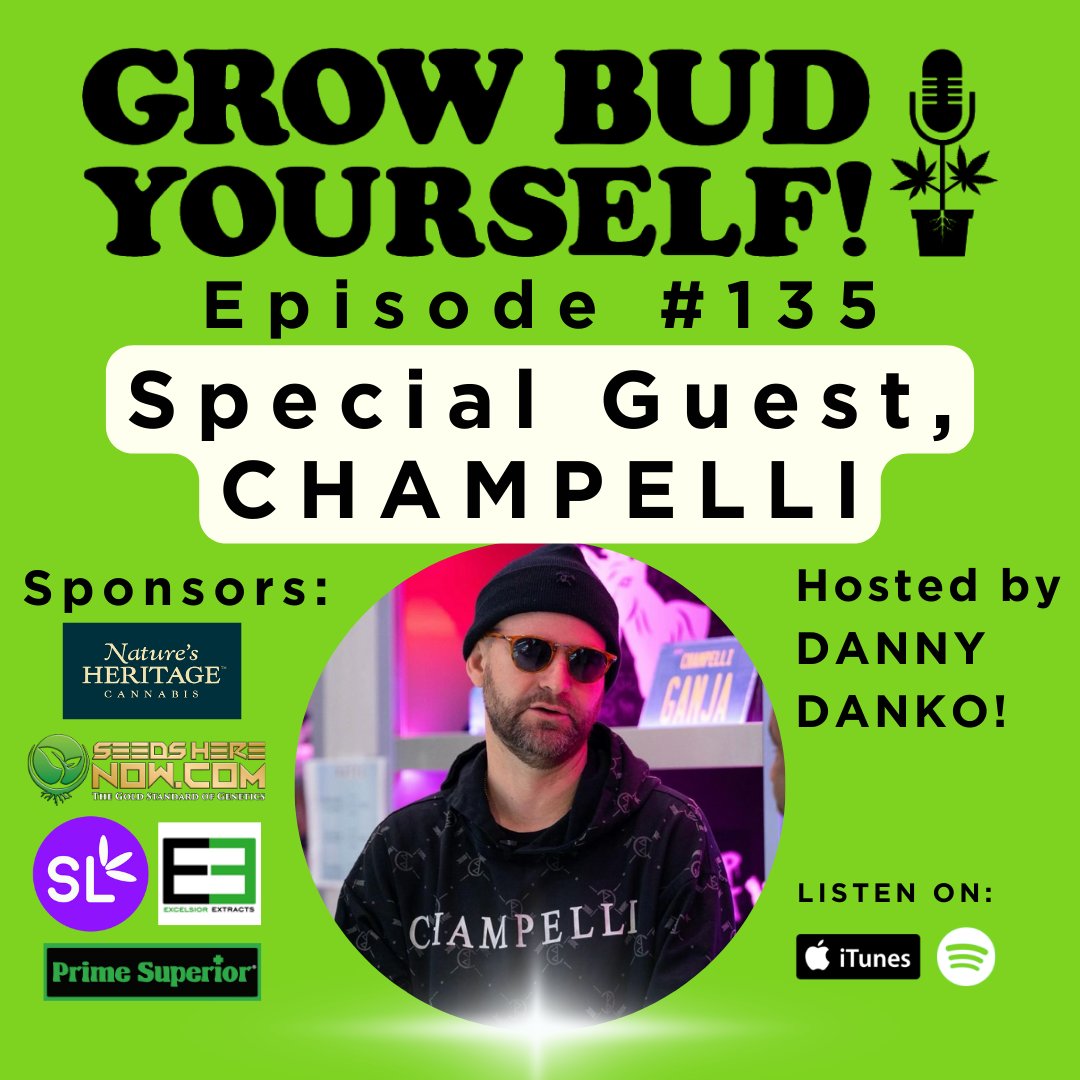 DannyDanko tweet media