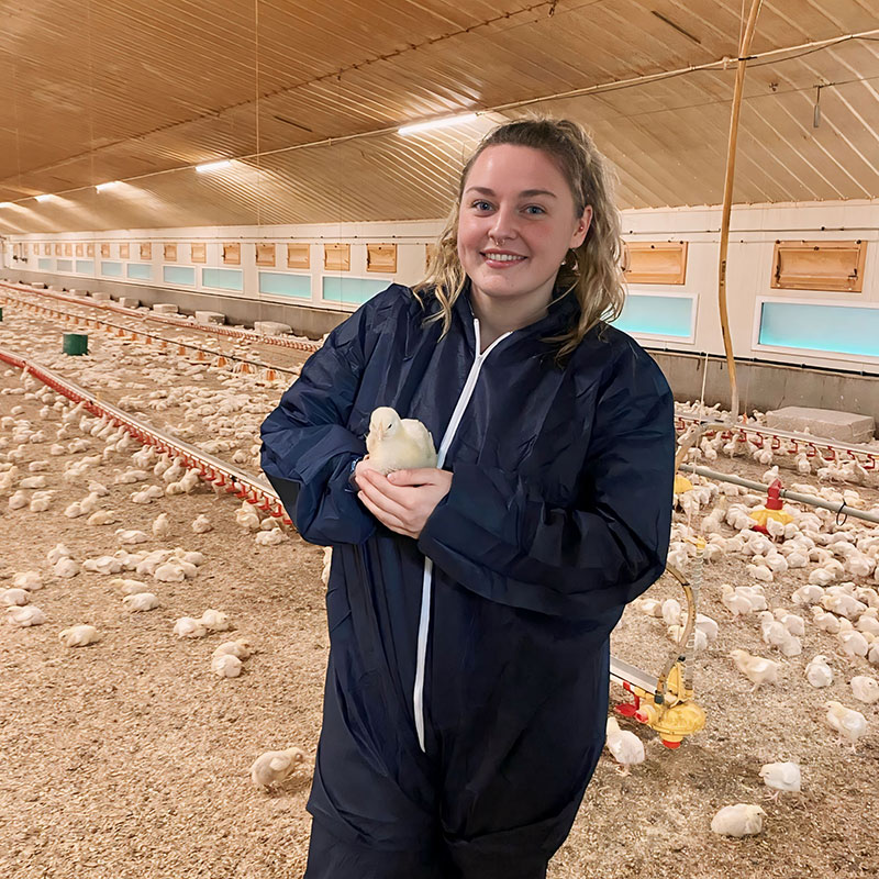 Stephanie Pedrick wins Zoetis – NFU Poultry Trainee Award 2023

We are thrilled to announce that Stephanie Pedrick, one of our exceptional apprentices, won the prestigious Zoetis-NFU Poultry Trainee Award 2023.

Full story on poultec.co.uk/news/