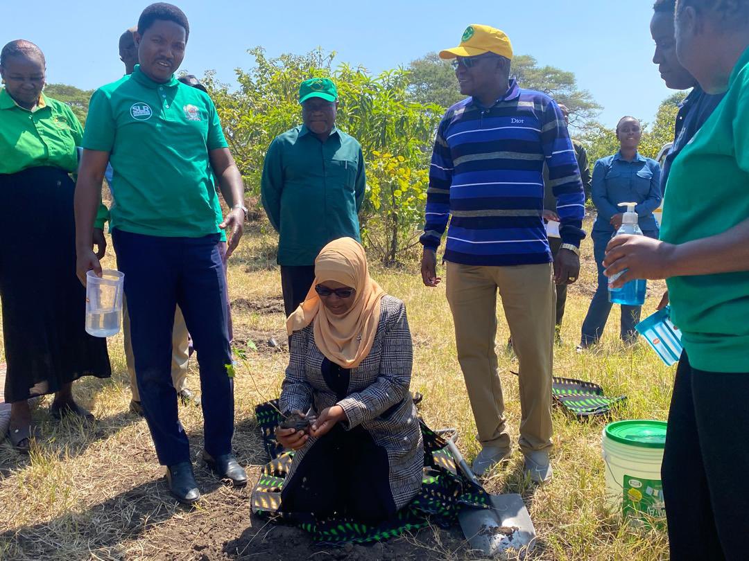 JGITanzania's tweet photo. Celebrating Environmental week! 🌍 Honored to join the launch of National Environmental Week in Mpimbwe, Katavi Region with @JGITanzania through @USAID Hope Through Action. Thanks to Hon. Suleiman Jaffofor planting trees for a greener tomorrow! 🌳#EnvironmentalWeek #JGITanzania https://t.co/KTvqfezv1P