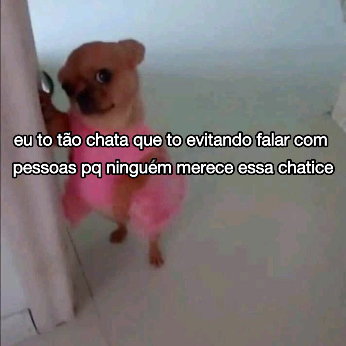 assim hoje