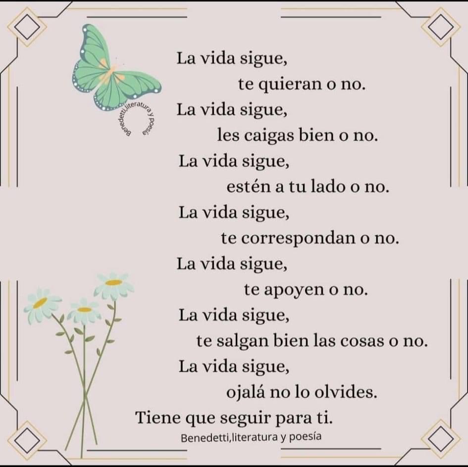 maryale1218's tweet photo. Buen día ☀️🦋🍀 https://t.co/85d2I46XJt