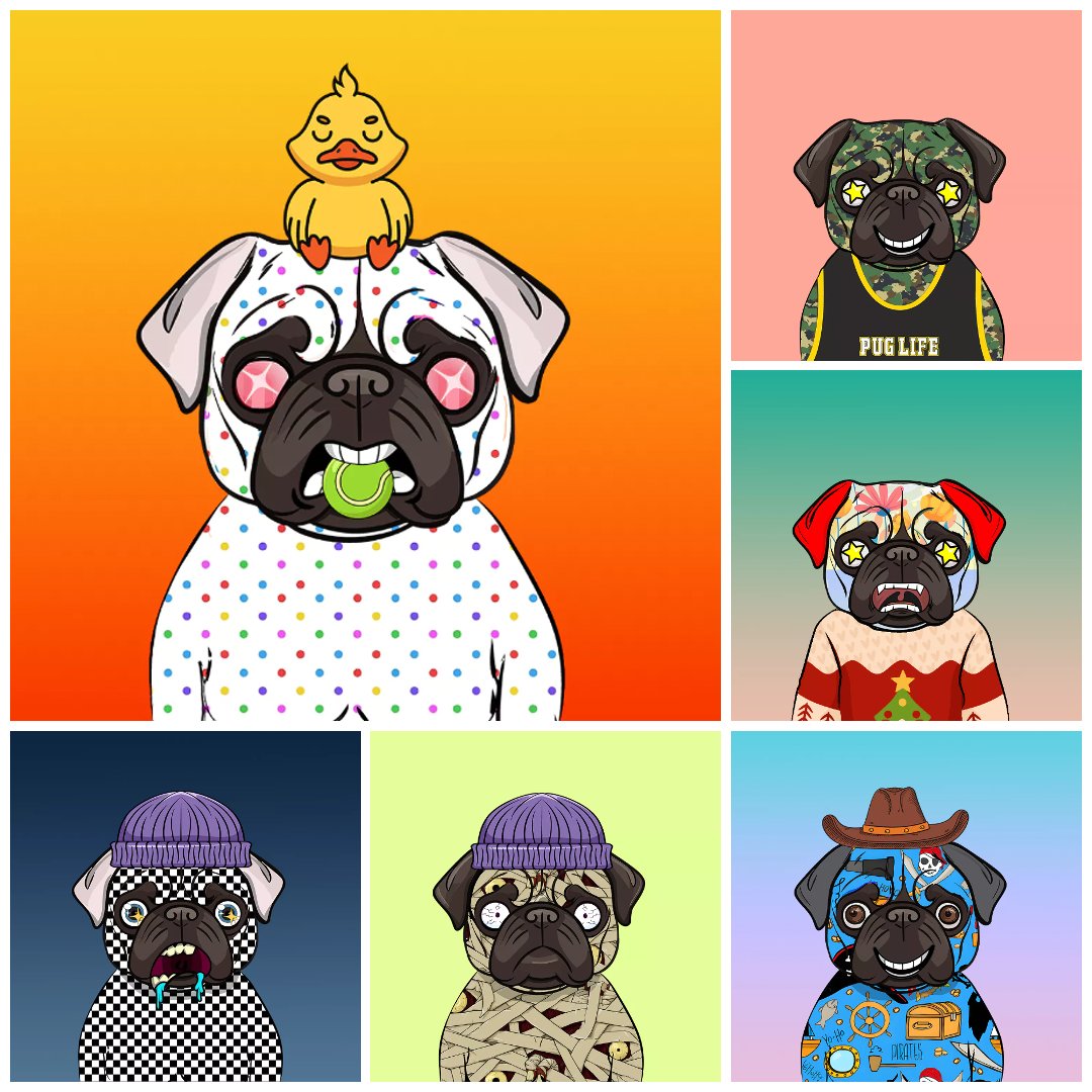 This <a href="/Blast_L2/">Blast</a> project is so underrated. It's one of the few real gaming projects on BLAST building something truly amazing! 🐶

You should take a look—those pugs are beautiful! 🩷

<a href="/PacmanBlur/">Pacman | Blur + Blast</a>, I hope you notice these guys.. 🌟

#PugLife l #BONES l #BlastPugNFTs