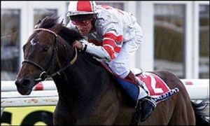 HORSERACING1002's tweet photo. MILLENARY🇬🇧1997
(RAINBOW QUEST - BALLERINA BY DANCING BRAVE)#Millenary
B/ Abergwaun Stud🇬🇧Apr 21, 1997
O/ Neil Jones
T/ John Dunlop
35-12-6-8---$1,521,952
2000 Hwt 3yo Colt 14f+🇬🇧
Chester Vase G3, Gordon S G3, St Leger S G1, Jockey Club S G2, Princess of Wales S G2 (2), https://t.co/pIkoSbz3k5