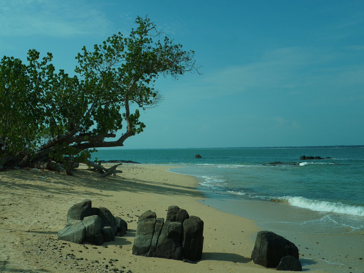 DebangshuBuilds's tweet photo. Visited @VisitUdupi sometime ago. Absolutely amazing place, relatively unexplored, scenic beaches, less crowded, people are really nice and pollution is very less in this coastal town of @Karnataka .
#tourism #incredibleindia #beach #Tour_Diary https://t.co/7M3kHbHADz