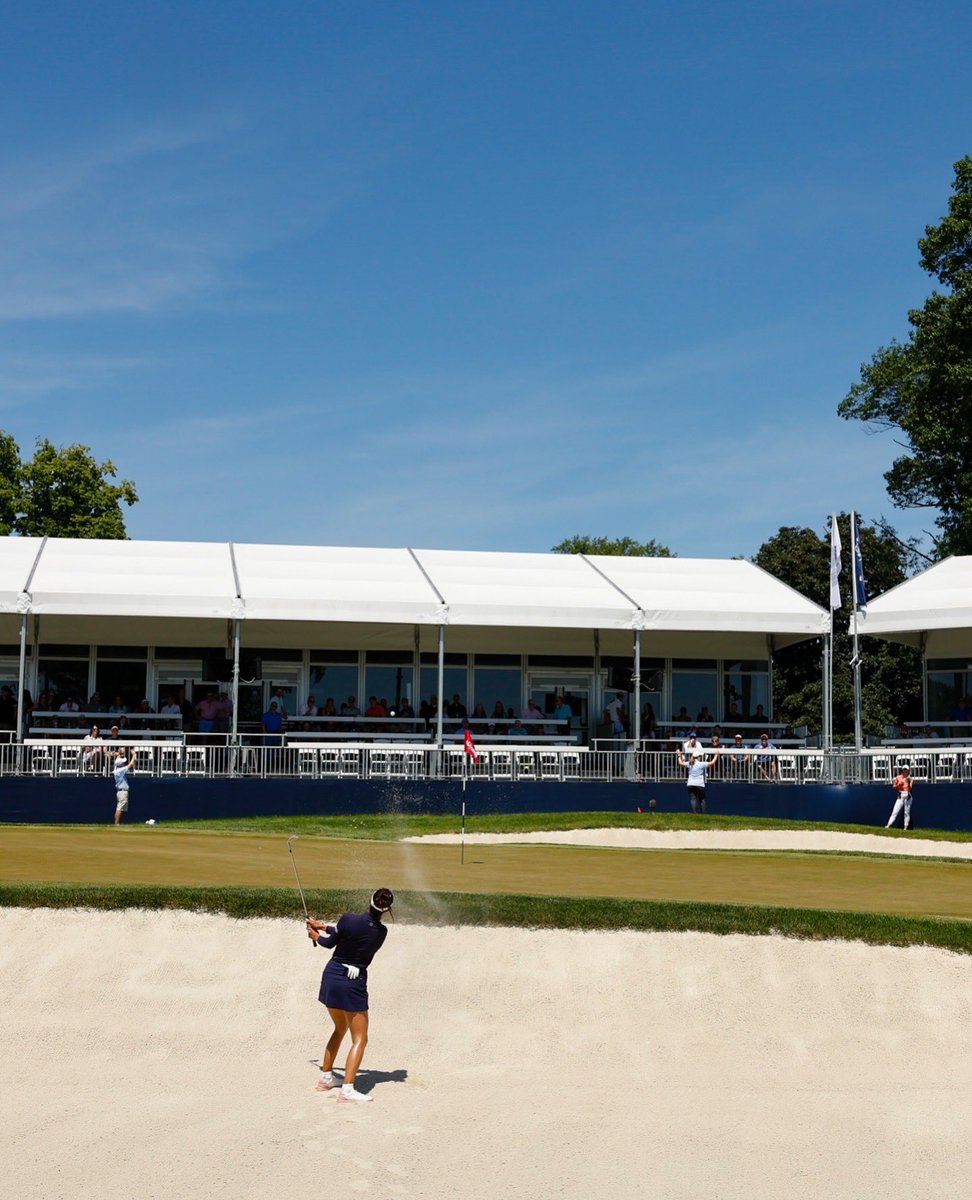 Alison Lee tweet media