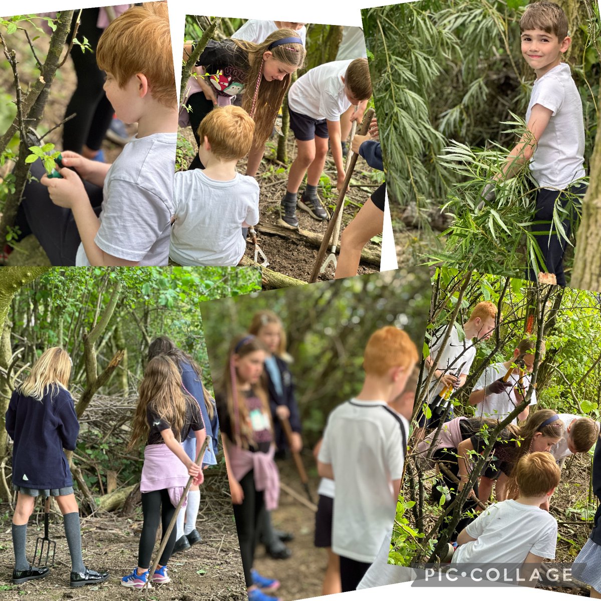 HSPsport (@hspsporthub) on Twitter photo First day back and we are already out in the woods in our afterschool club. Lots of outdoor learning and problem solving today and a shopping list for Mr Simpson. The forest brings so much joy to these kids πππ± <a href="/HoylandswainePS/">Hoylandswaine Primary School</a> <a href="/hcat_learning/">HCAT Teaching & Learning</a> First day back and we are already out in the woods in our afterschool club. Lots of outdoor learning and problem solving today and a shopping list for Mr Simpson. The forest brings so much joy to these kids πππ± <a href="/HoylandswainePS/">Hoylandswaine Primary School</a> <a href="/hcat_learning/">HCAT Teaching & Learning</a>