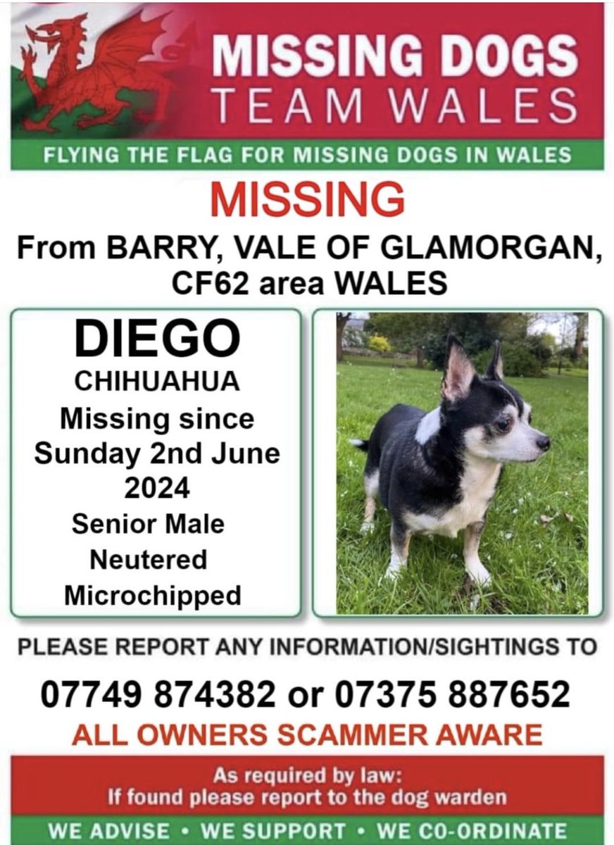 ‼️NEED MANY SHARES / PLUS SIGHTINGS FOR LITTLE DIEGO ‼️

💥MISSING FROM #BARRY AREA #CF62 #WALES 
SINCE SUNDAY 2ND JUNE 

‼️Aware of sighting when seen running past Barry Train station that evening but nothing since..‼️
Please call the numbers if seen asap ⬇️⬇️