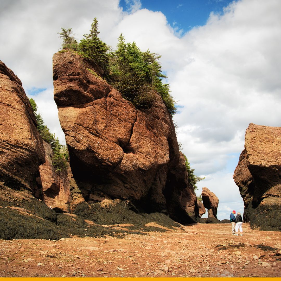 🌍 It's #EnviroWeek, and we're excited to share that in 2023, OMISTA displaced 47 tonnes of CO2 emissions and supported renewable energy generation through our @BullfrogPower partnership. 💪 
 #ProtectNature