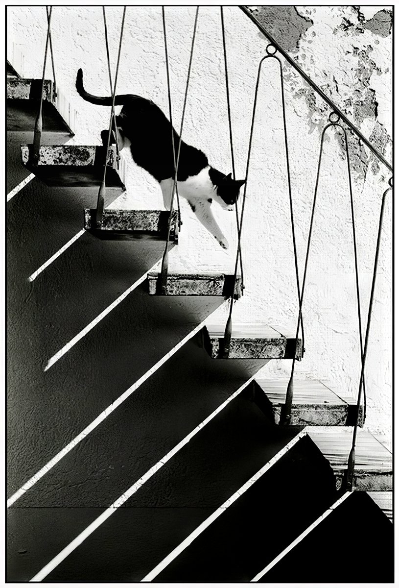 cameralab21's tweet photo. Édouard Boubat https://t.co/UJyqoCS16W